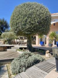 home for sale seignosse hossegor quiet residential dominant position