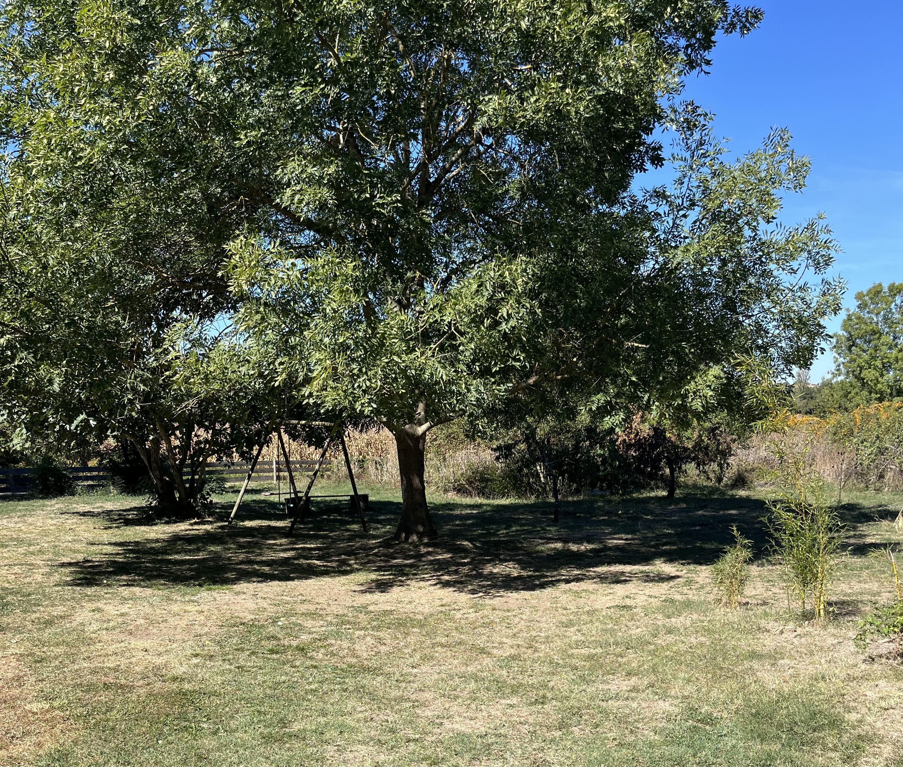 "Meadow Vista" For Sale Between Toulouse &amp; Tarbes, near the charming town of Boulogne sur Gesse, authentic u-shaped farmhouse dating back to the 1700s, recently renovated with care. Unique!... &pound; 590,000