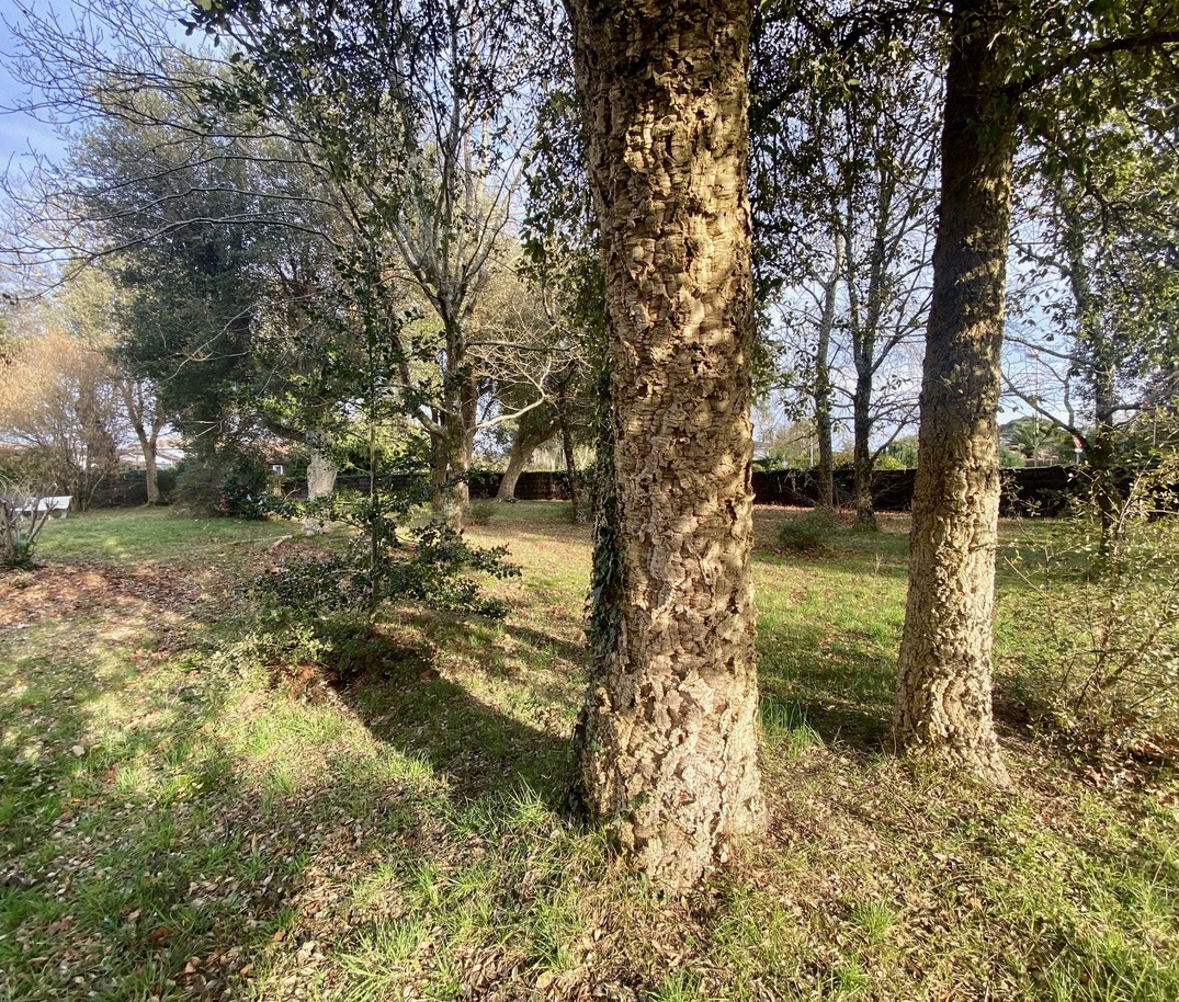 &ldquo;Airial Yachats&rdquo; A Vendre&nbsp; au c&oelig;ur de Seignosse Bourg, &agrave; 5mn des plages et golfs d&rsquo;Hossegor &amp; Seignosse ; authentique airial landais compos&eacute; de trois corps de b&acirc;timent, sur superbe parc arbor&eacute; de 3000 m2 avec piscine &hellip; 1.200.000 &euro;