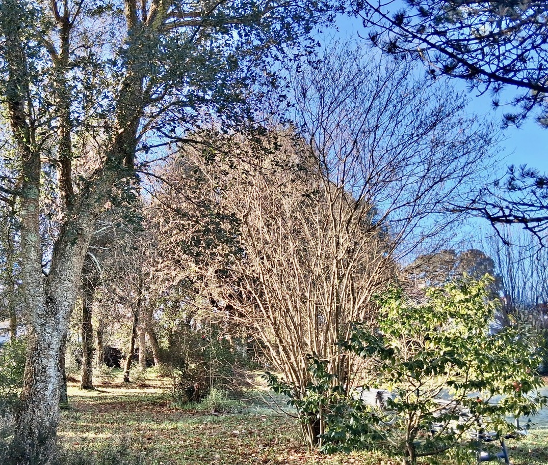 &ldquo;Airial Yachats&rdquo; A Vendre&nbsp; au c&oelig;ur de Seignosse Bourg, &agrave; 5mn des plages et golfs d&rsquo;Hossegor &amp; Seignosse ; authentique airial landais compos&eacute; de trois corps de b&acirc;timent, sur superbe parc arbor&eacute; de 3000 m2 avec piscine &hellip; 1.200.000 &euro;