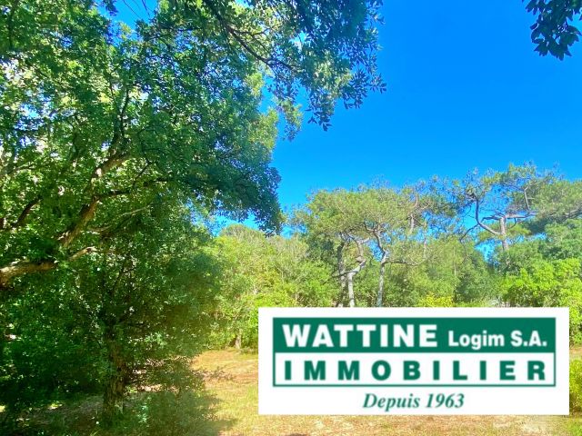 WATTINE LOGIM SA, March&eacute; Immobilier Landais &amp; du Littoral, "The One &amp; Only" Groupe Immobilier Familial Depuis 1963. Rendez-vous toute l'ann&eacute;e, 7J/7 contactez le +33(0)6.07.02.36.31
&nbsp;