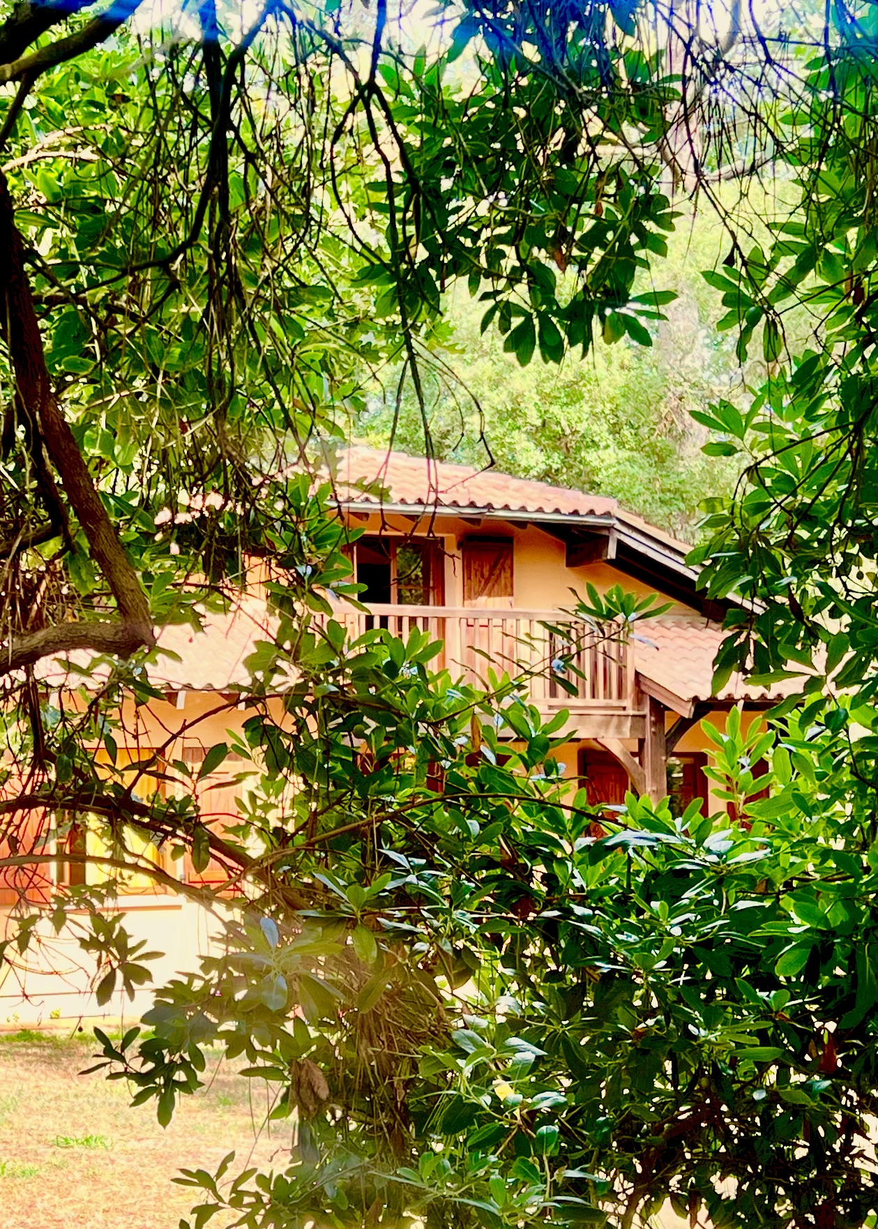 "Rancho Solano Golf Beach House" A Vendre Mandat Exclusif Golf de Pinsolle / Soustons Plage, 10km Hossegor, villa 3 ch. &amp; mezzanine / 2 bains sur 1500 m2 de terrain piscinable avec acc&egrave;s direct au fairway, et plage &agrave; pied par le golf ; grand calme, opportunit&eacute; rare!... 850.000&euro;