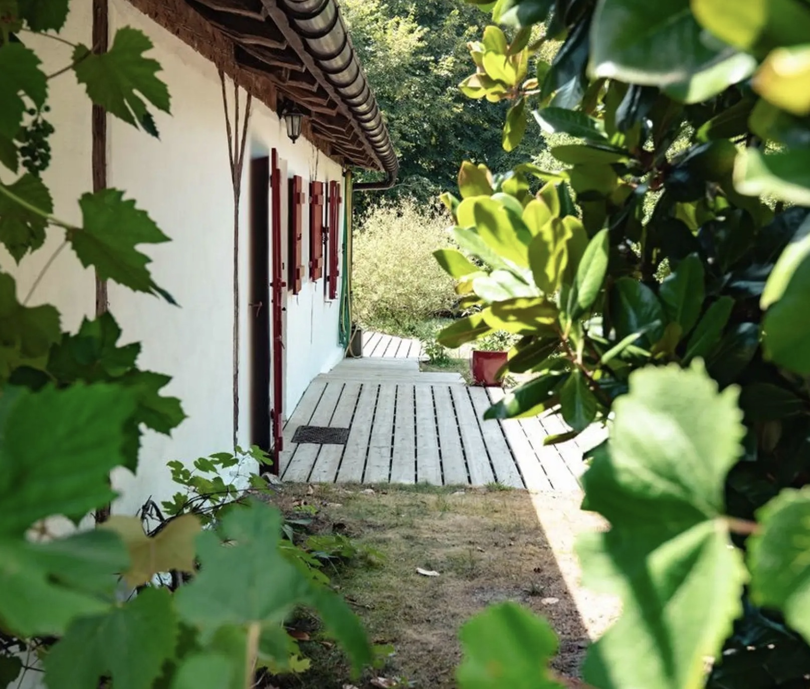 "Airial San Miguel" A Vendre Saint Michel Escalus - 12km plages &amp; 15km golf, superbe&nbsp; corps de ferme / propri&eacute;t&eacute;&nbsp; landaise de caract&egrave;re 11 pieces sur 8500 m2 de parc, comprenant ferme traditionnelle, bergerie, atelier d'artiste &amp; garage pour 3 voitures.&nbsp; Id&eacute;al pour activit&eacute; touristique d'h&eacute;bergement. Calme &amp; s&eacute;r&eacute;nit&eacute;... 884.000 &euro;.