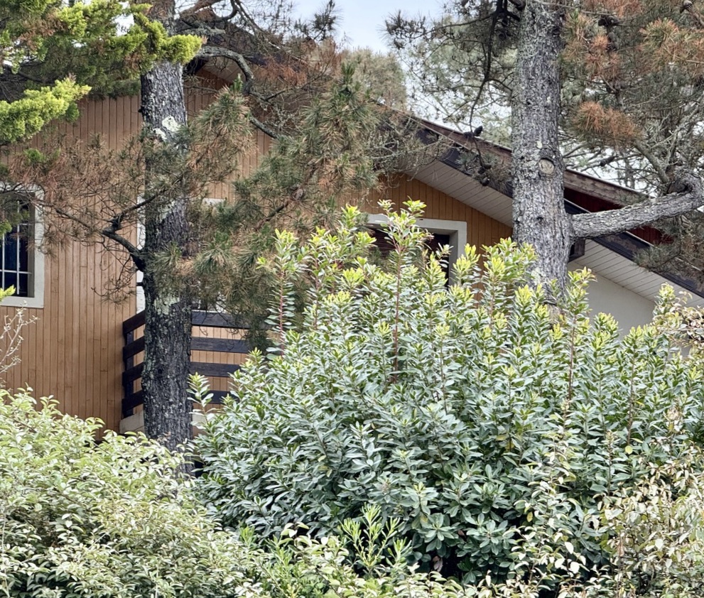 &ldquo;Wood Creek Beach House&rdquo; A Vendre Seignosse Oc&eacute;an en bord de mer, calme, villa 8 ch. &nbsp;/ 4 bains sur 1000 m2 de parc bois&eacute; avec piscine ; excellent rapport locatif si souhait&eacute;&hellip; 1.280.000 &euro;.&nbsp;
