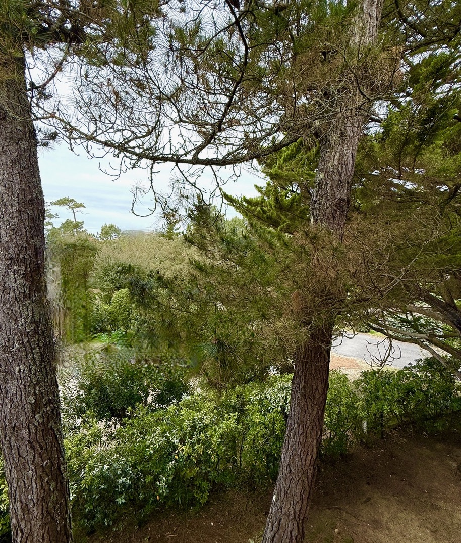 &ldquo;Wood Creek Beach House&rdquo; A Vendre Seignosse Oc&eacute;an en bord de mer, calme, villa 8 ch. &nbsp;/ 4 bains sur 1000 m2 de parc bois&eacute; avec piscine ; excellent rapport locatif si souhait&eacute;&hellip; 1.280.000 &euro;.&nbsp;