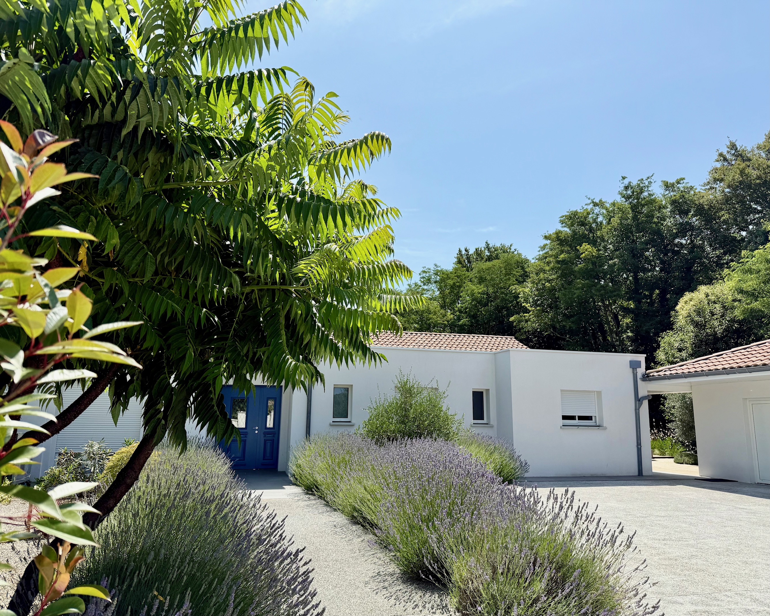 "Los Olivos Grand Estate" A Vendre Soustons magnifique site calme &amp; prot&eacute;g&eacute; des regards, propri&eacute;t&eacute; de grand standing comprenant villa d'architecte de plain pied &amp; annexes, sise sur 3350 m&sup2; de parc paysager avec piscine... 1.200.000 &euro;.&nbsp;