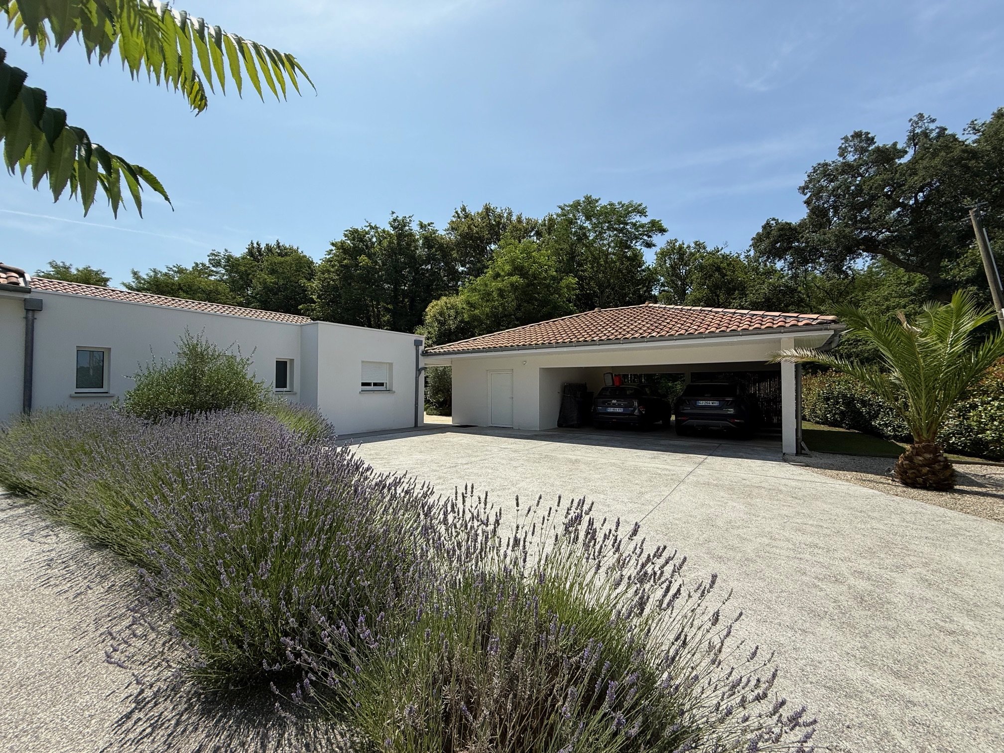 "Los Olivos Grand Estate" A Vendre Soustons magnifique site calme &amp; prot&eacute;g&eacute; des regards, propri&eacute;t&eacute; de grand standing comprenant villa d'architecte de plain pied &amp; annexes, sise sur 3350 m&sup2; de parc paysager avec piscine... 1.200.000 &euro;.&nbsp;