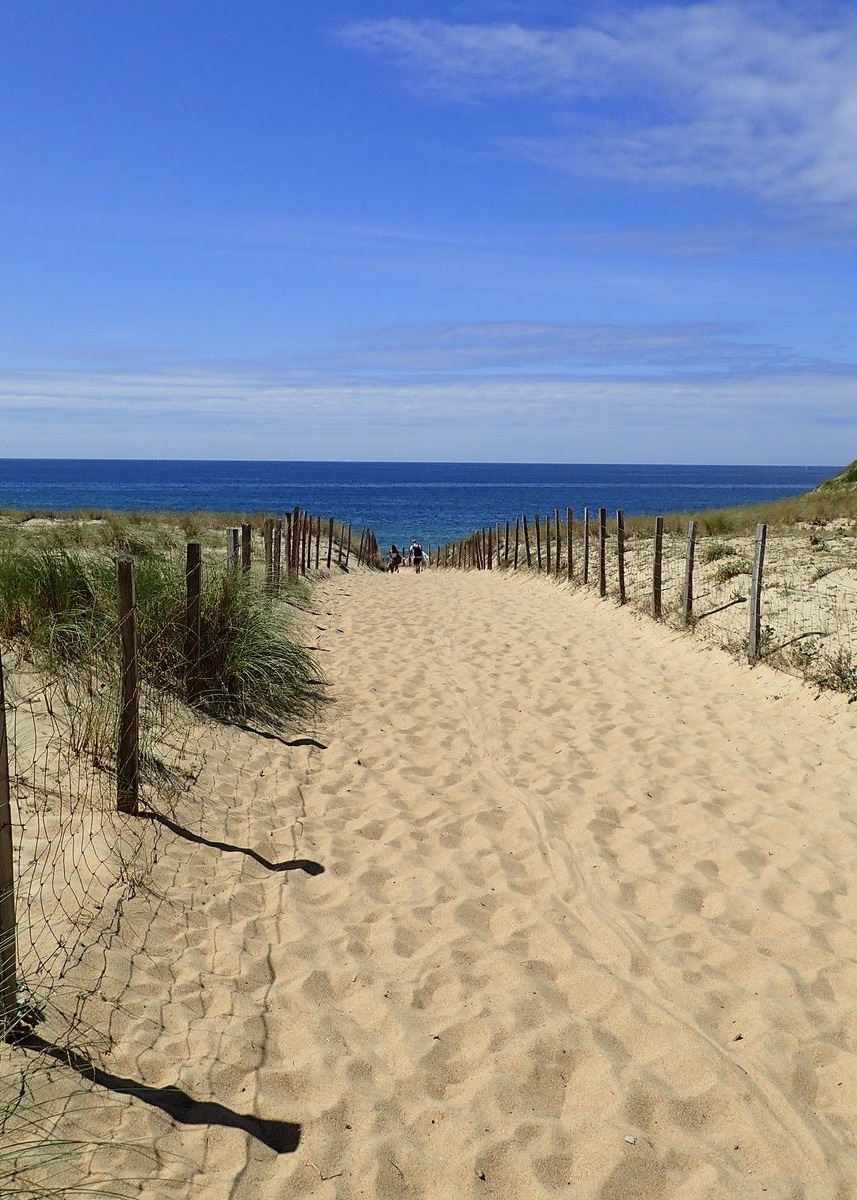 VENDU PAR NOTRE EQUIPE - "Agoura Hills Estate" Capbreton plage &agrave; 300m., sous les pins &amp; &agrave; l&rsquo;abri du vent, beau terrain &agrave; b&acirc;tir de 1100m2 avec toute viabilit&eacute;, environnement calme et r&eacute;sidentiel.