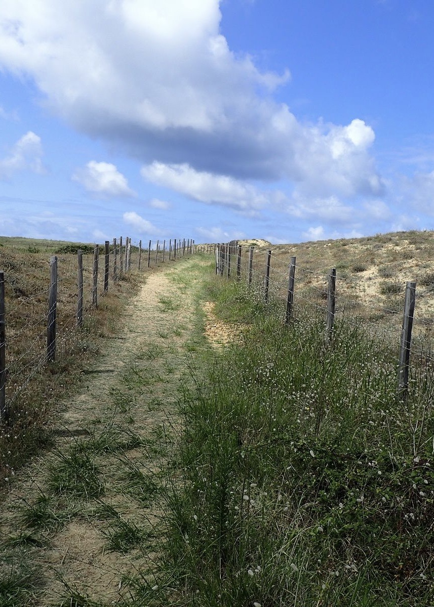 VENDU PAR NOTRE EQUIPE - "Agoura Hills Estate" Capbreton plage &agrave; 300m., sous les pins &amp; &agrave; l&rsquo;abri du vent, beau terrain &agrave; b&acirc;tir de 1100m2 avec toute viabilit&eacute;, environnement calme et r&eacute;sidentiel.