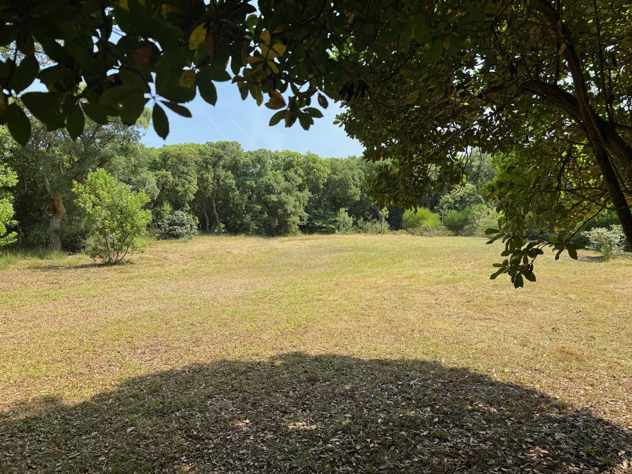 VENDU PAR NOTRE &Eacute;QUIPE, "Hollister Ranch" Hossegor Entre Lac &amp; Mer, Le seul lot de terrain &agrave; b&acirc;tir disponible dans ce quartier si recherch&eacute;, 2217 m2 avec toute viabilit&eacute; (eau, &eacute;lectricit&eacute;, tout &agrave; l&rsquo;&eacute;gout, t&eacute;l&eacute;phone).&nbsp;Pr&ecirc;t &agrave; construire, magnifique clairi&egrave;re existante pour construction sans coupe d&rsquo;arbre (site prot&eacute;g&eacute; SPR), tout en profitant d&rsquo;une v&eacute;g&eacute;tation luxuriante sur la parcelle