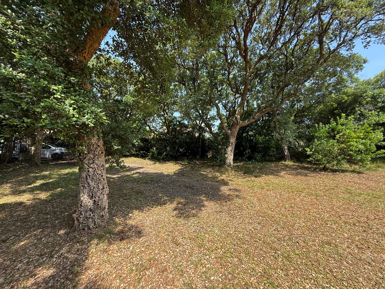 VENDU PAR NOTRE &Eacute;QUIPE, "Hollister Ranch" Hossegor Entre Lac &amp; Mer, Le seul lot de terrain &agrave; b&acirc;tir disponible dans ce quartier si recherch&eacute;, 2217 m2 avec toute viabilit&eacute; (eau, &eacute;lectricit&eacute;, tout &agrave; l&rsquo;&eacute;gout, t&eacute;l&eacute;phone).&nbsp;Pr&ecirc;t &agrave; construire, magnifique clairi&egrave;re existante pour construction sans coupe d&rsquo;arbre (site prot&eacute;g&eacute; SPR), tout en profitant d&rsquo;une v&eacute;g&eacute;tation luxuriante sur la parcelle