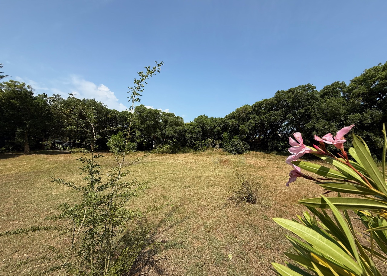 VENDU PAR NOTRE &Eacute;QUIPE, "Hollister Ranch" Hossegor Entre Lac &amp; Mer, Le seul lot de terrain &agrave; b&acirc;tir disponible dans ce quartier si recherch&eacute;, 2217 m2 avec toute viabilit&eacute; (eau, &eacute;lectricit&eacute;, tout &agrave; l&rsquo;&eacute;gout, t&eacute;l&eacute;phone).&nbsp;Pr&ecirc;t &agrave; construire, magnifique clairi&egrave;re existante pour construction sans coupe d&rsquo;arbre (site prot&eacute;g&eacute; SPR), tout en profitant d&rsquo;une v&eacute;g&eacute;tation luxuriante sur la parcelle