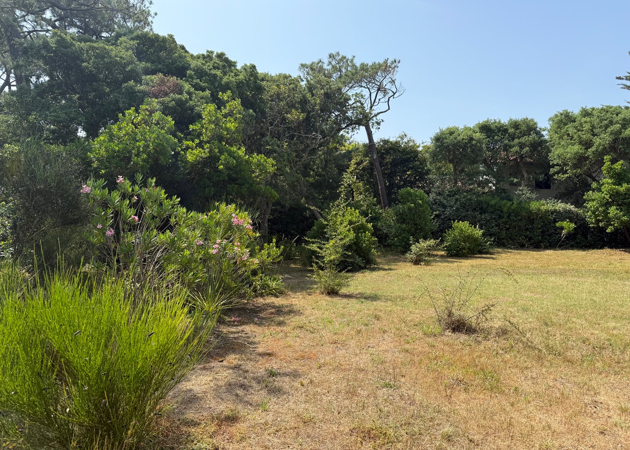 VENDU PAR NOTRE &Eacute;QUIPE, "Hollister Ranch" Hossegor Entre Lac &amp; Mer, Le seul lot de terrain &agrave; b&acirc;tir disponible dans ce quartier si recherch&eacute;, 2217 m2 avec toute viabilit&eacute; (eau, &eacute;lectricit&eacute;, tout &agrave; l&rsquo;&eacute;gout, t&eacute;l&eacute;phone).&nbsp;Pr&ecirc;t &agrave; construire, magnifique clairi&egrave;re existante pour construction sans coupe d&rsquo;arbre (site prot&eacute;g&eacute; SPR), tout en profitant d&rsquo;une v&eacute;g&eacute;tation luxuriante sur la parcelle