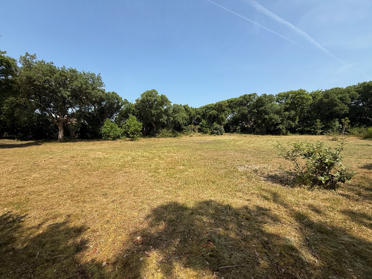 VENDU PAR NOTRE &Eacute;QUIPE, "Hollister Ranch" Hossegor Entre Lac &amp; Mer, Le seul lot de terrain &agrave; b&acirc;tir disponible dans ce quartier si recherch&eacute;, 2217 m2 avec toute viabilit&eacute; (eau, &eacute;lectricit&eacute;, tout &agrave; l&rsquo;&eacute;gout, t&eacute;l&eacute;phone).&nbsp;Pr&ecirc;t &agrave; construire, magnifique clairi&egrave;re existante pour construction sans coupe d&rsquo;arbre (site prot&eacute;g&eacute; SPR), tout en profitant d&rsquo;une v&eacute;g&eacute;tation luxuriante sur la parcelle