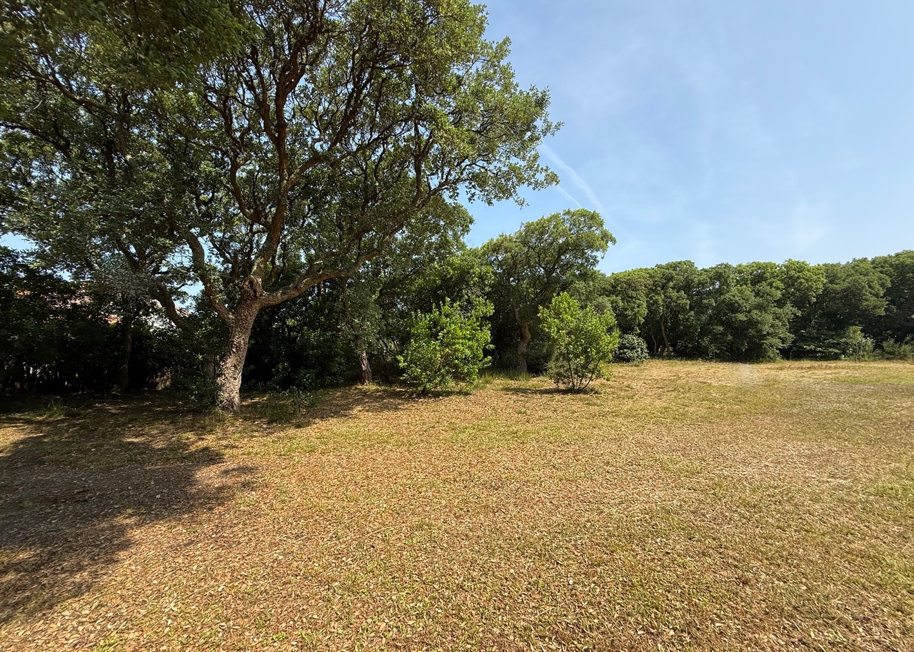 VENDU PAR NOTRE &Eacute;QUIPE, "Hollister Ranch" Hossegor Entre Lac &amp; Mer, Le seul lot de terrain &agrave; b&acirc;tir disponible dans ce quartier si recherch&eacute;, 2217 m2 avec toute viabilit&eacute; (eau, &eacute;lectricit&eacute;, tout &agrave; l&rsquo;&eacute;gout, t&eacute;l&eacute;phone).&nbsp;Pr&ecirc;t &agrave; construire, magnifique clairi&egrave;re existante pour construction sans coupe d&rsquo;arbre (site prot&eacute;g&eacute; SPR), tout en profitant d&rsquo;une v&eacute;g&eacute;tation luxuriante sur la parcelle
