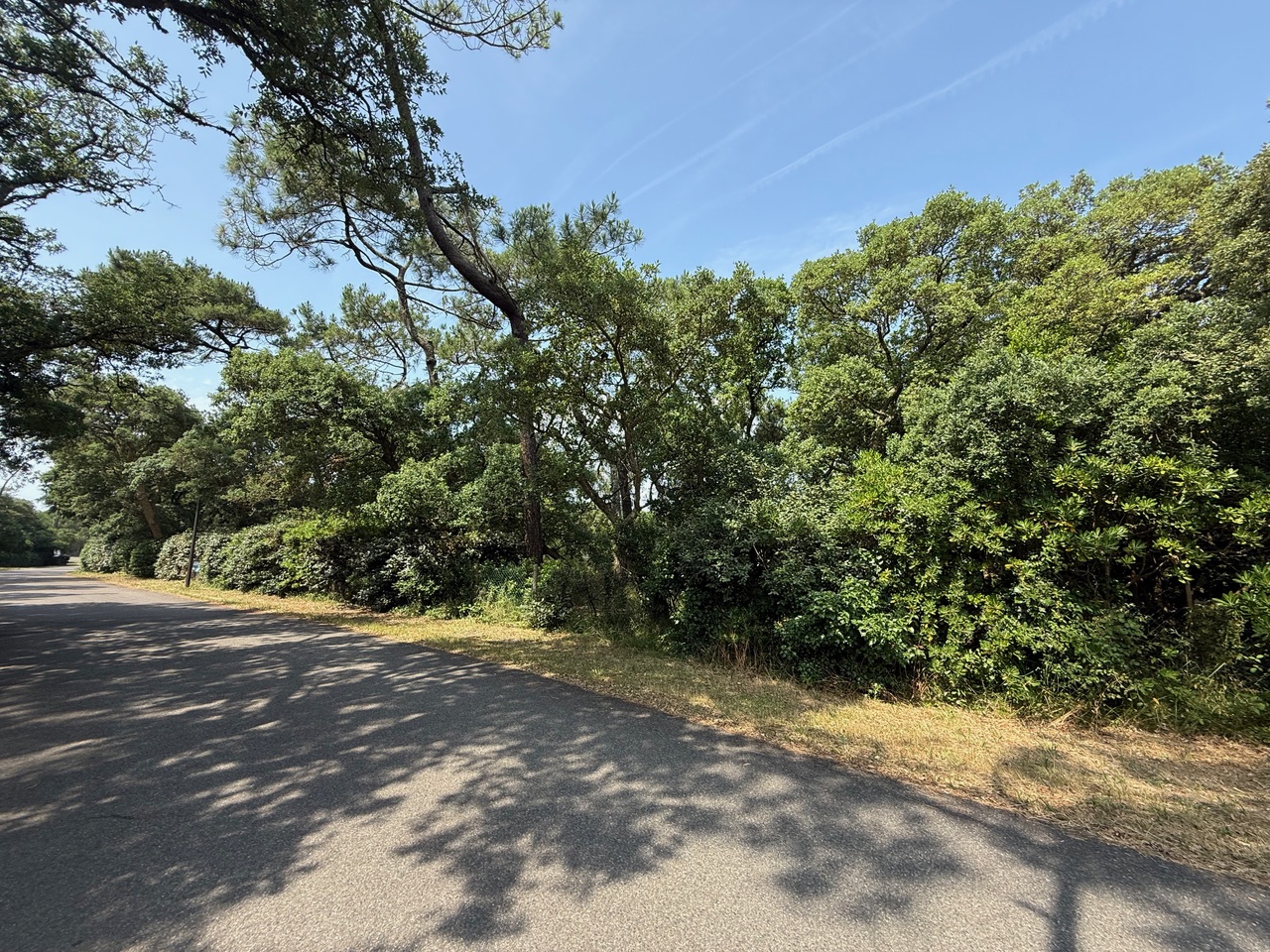 VENDU PAR NOTRE &Eacute;QUIPE, "Hollister Ranch" Hossegor Entre Lac &amp; Mer, Le seul lot de terrain &agrave; b&acirc;tir disponible dans ce quartier si recherch&eacute;, 2217 m2 avec toute viabilit&eacute; (eau, &eacute;lectricit&eacute;, tout &agrave; l&rsquo;&eacute;gout, t&eacute;l&eacute;phone).&nbsp;Pr&ecirc;t &agrave; construire, magnifique clairi&egrave;re existante pour construction sans coupe d&rsquo;arbre (site prot&eacute;g&eacute; SPR), tout en profitant d&rsquo;une v&eacute;g&eacute;tation luxuriante sur la parcelle