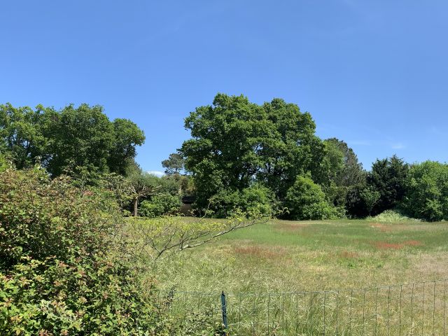 "Foxtail" A Vendre Hossegor Proche Golf, calme absolu &amp; environnement tr&egrave;s r&eacute;sidentiel ; beau terrain &agrave; b&acirc;tir plat, enti&egrave;rement viabilis&eacute; &amp; constructible d'une surface de 1800 m2 environ... 1.495.000&euro;